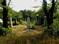 16 Út a parcella közepén